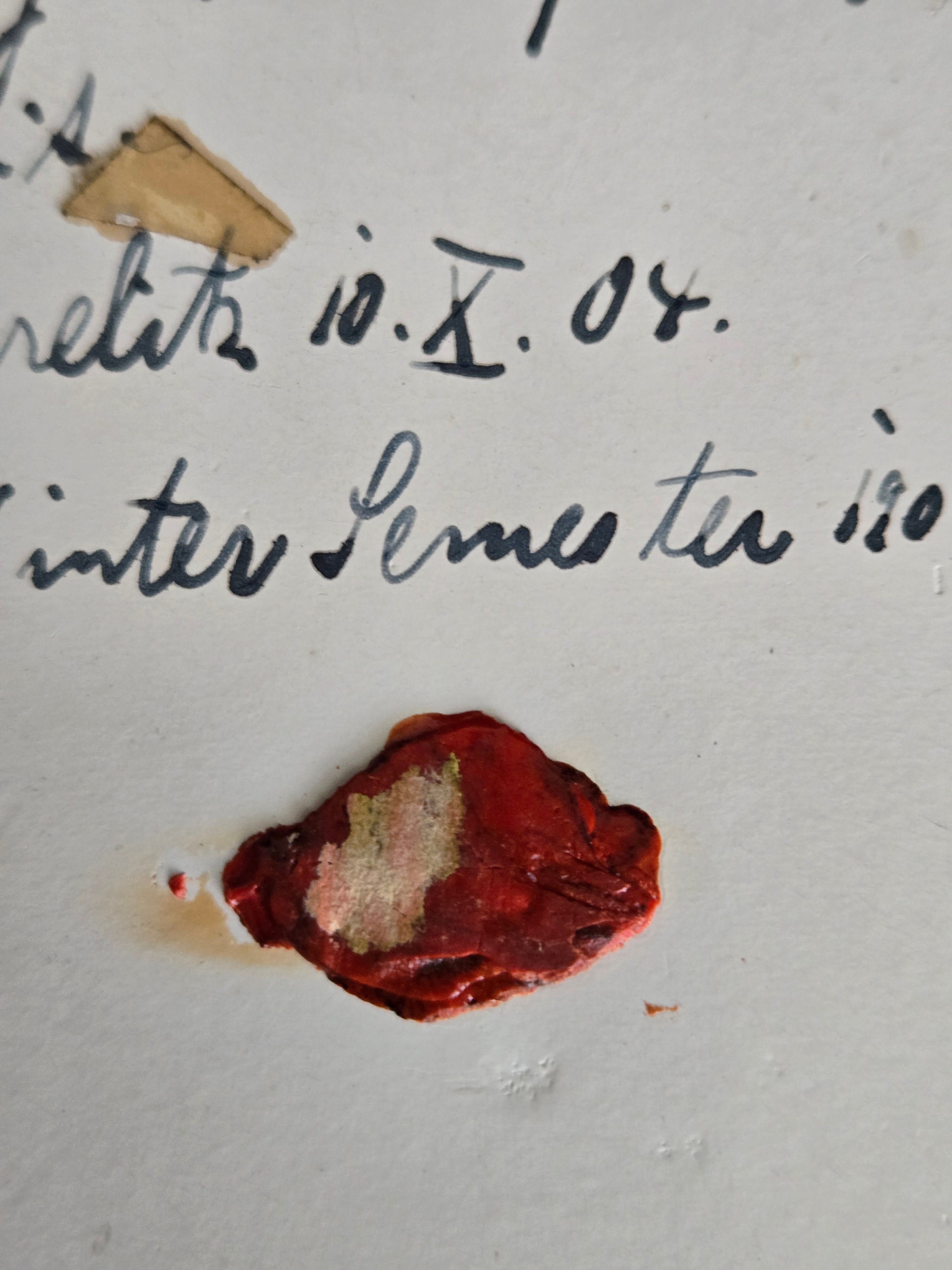 1904 Austrian Corps Portrait with Wax Seal — Academic Nobility Archive Piece